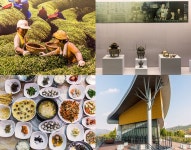 향에 취하고 맛에 반하고, 보성 한국차박물관 [우리문화신문] 향에 취하고 맛에 반하고, 보성 한국차박물관