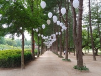 남이섬에서 즐기는 전세계 예술가들의 작품 [우리문화신문] 남이섬에서 즐기는 전세계 예술가들의 작품