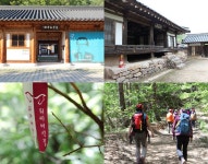 느리게 걷는 치유의 길, 영양 대티골 아름다운 숲길 [우리문화신문] 느리게 걷는 치유의 길, 영양 대티골 아름다운 숲길