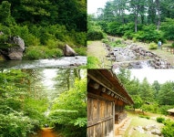 걷고 사색하고 치유하다, 가평 경기도잣향기푸른숲 [우리문화신문] 걷고 사색하고 치유하다, 가평 경기도잣향기푸른숲