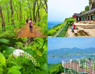 꽃, 나비와 숲속, 국립제천치유의숲 [우리문화신문] 꽃, 나비와 숲속, 국립제천치유의숲