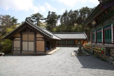 [화보] 천년 은행나무 품은 태안 백화산 흥주사의 봄 [우리문화신문] [화보] 천년 은행나무 품은 태안 백화산 흥주사의 봄