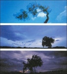 그 섬에 한 예인 있었네 – 한 사진작가의 사무치는 삶 [우리문화신문] 그 섬에 한 예인 있었네 – 한 사진작가의 사무치는 삶