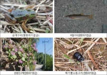 민통선 이북지역, 국립공원 수준의 다양한 생물종 살아 [우리문화신문] 민통선 이북지역, 국립공원 수준의 다양한 생물종 살아