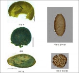 경복궁서 정화시설 갖춘 150여 년 전 대형 화장실 확인 [우리문화신문] 경복궁서 정화시설 갖춘 150여 년 전 대형 화장실 확인