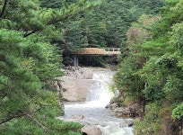 데크길을 만들며 소나무를 잘 보존한 사람들 [우리문화신문] 데크길을 만들며 소나무를 잘 보존한 사람들