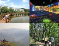 아름다운 치유와 휴식의 시간, 합천 오도산자연휴양림 [우리문화신문] 아름다운 치유와 휴식의 시간, 합천 오도산자연휴양림