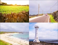 섬 속의 섬 그리고 가장 제주다운 섬, 제주 우도 [우리문화신문] 섬 속의 섬 그리고 가장 제주다운 섬, 제주 우도