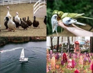 동물과 다정한 교감, 증평 벨포레목장 [우리문화신문] 동물과 다정한 교감, 증평 벨포레목장