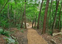 하늘재를 맨발로 오르다 [우리문화신문] 하늘재를 맨발로 오르다