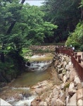 ‘이말산’을 함께 걷다 [우리문화신문] ‘이말산’을 함께 걷다