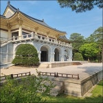 40년 만의 호암미술관 소풍 [우리문화신문] 40년 만의 호암미술관 소풍