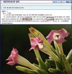원추화서로 피는 꽃 구경하자 [우리문화신문] 원추화서로 피는 꽃 구경하자
