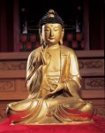 마음 - KRpia 검색결과