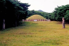 흥덕왕 - KRpia 검색결과