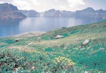 백두산 - KRpia 검색결과