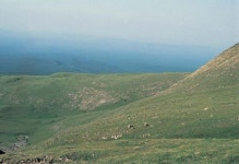 백두산 - KRpia 검색결과