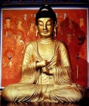 조비 - KRpia 검색결과