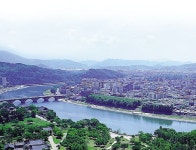 신라 - KRpia 검색결과