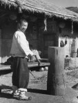 선율 - KRpia 검색결과