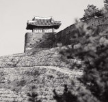 효심 - KRpia 검색결과