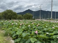 경인투데이뉴스 : 지역뉴스 > 47 페이지
