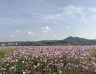 경인투데이뉴스 : 지역뉴스 > 경북 > 7 페이지