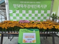 한국체대 금화태권도 최정진 관장,‘좋은이웃학원’캠페인 통해 나눔 실천:경인투데이뉴스 ≪경인투데이뉴스≫ 한국체대 금화태권도 최정진... 