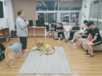 수원남자단기청소년쉼터 사회정서 회복을 위한 동물매개 프로그램 개최:경인투데이뉴스 ≪경인투데이뉴스≫ 수원남자단기청소년쉼터 사회정서...