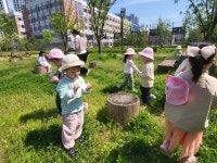 한들물빛유치원, 즐거운 어린이날~! 자치활동으로 몸과 마음 기르기:경인투데이뉴스 ≪경인투데이뉴스≫ 한들물빛유치원, 즐거운... 