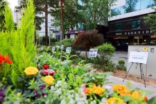 구로구, 구로근린공원서 제2기 마을정원사 수료식 개최:경인투데이뉴스 ≪경인투데이뉴스≫ 구로구, 구로근린공원서 제2기 마을정원사 수료식... 