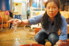 칼럼) 서해안 맛기행 `다리가 세개라 세발낙지인가?.... - 낙지 마이너 갤러리