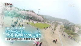 도심 속 동심여행! 서울대공원 200배 즐기기 | | KTV 국민방송 도심 속 동심여행! 서울대공원 200배 즐기기