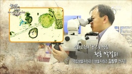우리 고유의 균으로 만든 전통 막걸리 - 김창무 (환경부 국립생물자원관 미생물자원과 연구관) | 프로그램 - 정책 | KTV 국민방송 우리 고유의 균... 