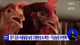경기 김포 식용달걀 농장 고병원성 AI 확진···가금농장 59번째 | 뉴스 - 주요뉴스 | KTV 국민방송 경기 김포 식용달걀 농장 고병원성 AI 확진... 