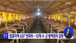 접경지역 ASF 잇따라···10개 시·군 방역관리 강화 | 뉴스 - 최신뉴스 | KTV 국민방송 접경지역 ASF 잇따라···10개 시·군 방역관리 강화
