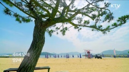 푸른 꿈 고이 접어 나빌레라 - 경상북도 안동시 | | KTV 국민방송 푸른 꿈 고이 접어 나빌레라 - 경상북도 안동시