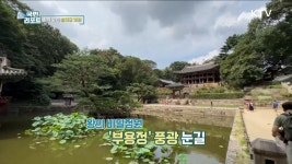 보관소에 자전거 방치 많아…대책 시급 | 뉴스 - 사회 | KTV 국민방송 보관소에 자전거 방치 많아…대책 시급