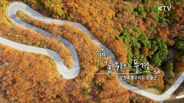 여기, 그 계절 속 우리 - 전라남도 해남군 | | KTV 국민방송 여기, 그 계절 속 우리 - 전라남도 해남군