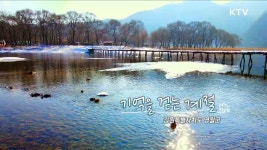 기억을 걷는 계절 - 강원특별자치도 영월군 | | KTV 국민방송 기억을 걷는 계절 - 강원특별자치도 영월군