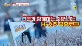 돌담너머 산수유가 핀다 - 전남 구례 | | KTV 국민방송 돌담너머 산수유가 핀다 - 전남 구례