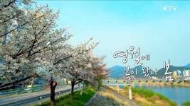 봄을 노래하는 원주 간현관광지 | 프로그램 - 정책 | KTV 국민방송 봄을 노래하는 원주 간현관광지