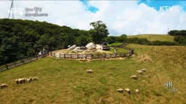 강원도 대관령 삼양목장 [함께 힐링] | | KTV 국민방송 강원도 대관령 삼양목장 [함께 힐링]