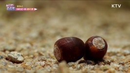 정책뉴스 | 정책정보 | 정부24