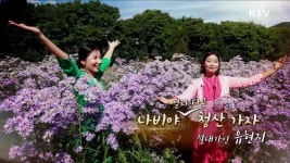 국악 우리가 잇다 | 프로그램 - 정책 | KTV 국민방송 KTV 국민방송