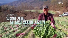 인생의 겨울 날 살린 펀치볼 시래기 | | KTV 국민방송 인생의 겨울 날 살린 펀치볼 시래기
