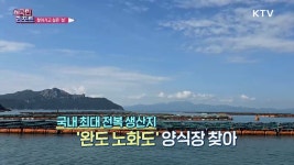 사거리 횡단보도, 대각선 형태 늘려야 | | KTV 국민방송 사거리 횡단보도, 대각선 형태 늘려야