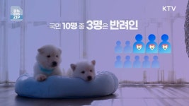반려동물과의 행복한 동행, 책임부터 복지까지 | 프로그램 - 정책 | KTV 국민방송 반려동물과의 행복한 동행, 책임부터 복지까지
