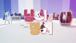 방송안내 - TV 편성표 | KTV 국민방송 KTV 국민방송