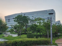 블라인드 | 아산 뉴스